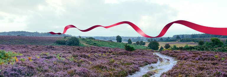 mobile-inner-newforest New Forest